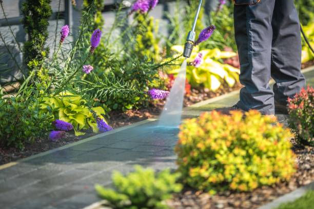Best Driveway Cleaning and Restoration in Hope Mills, NC